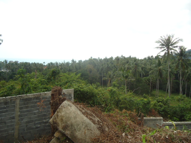 Plot of hillside land in Sunrise Residence