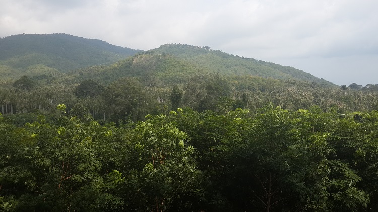 3.25 Rai hillside sea view land  in Ban Kao