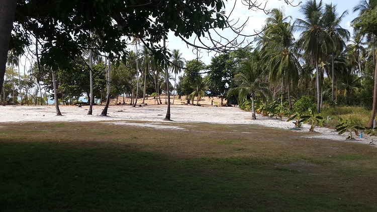 Koh Som beach land - cleared land