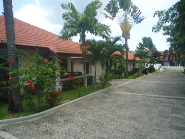 Mango Village