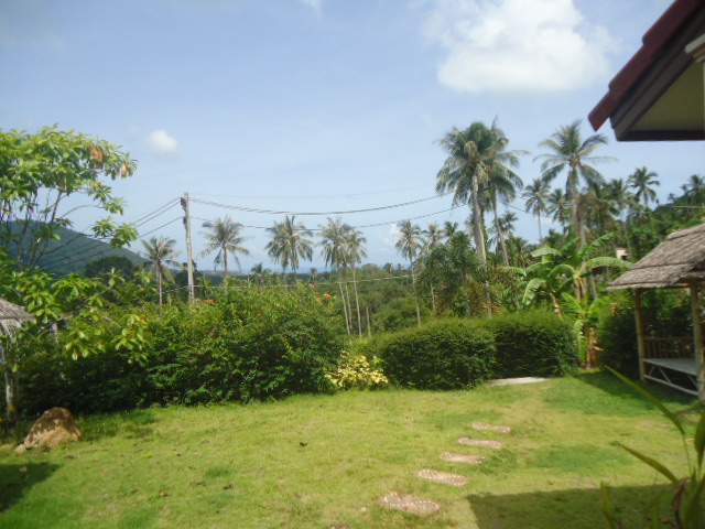Lamai house garden