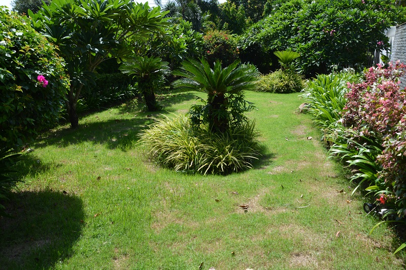Villa Baan Khaw - Garden